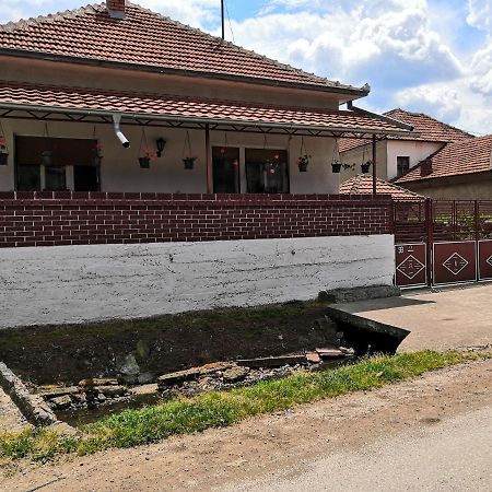 Kuca Mijalkovic Apartment ปิโรต์ ภายนอก รูปภาพ