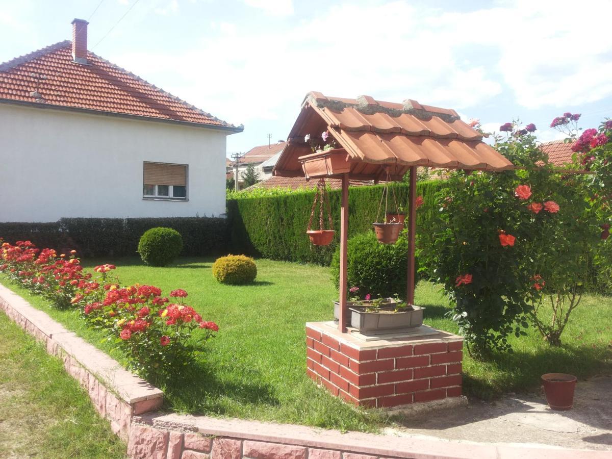Kuca Mijalkovic Apartment ปิโรต์ ภายนอก รูปภาพ