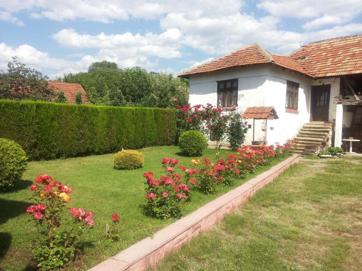 Kuca Mijalkovic Apartment ปิโรต์ ภายนอก รูปภาพ